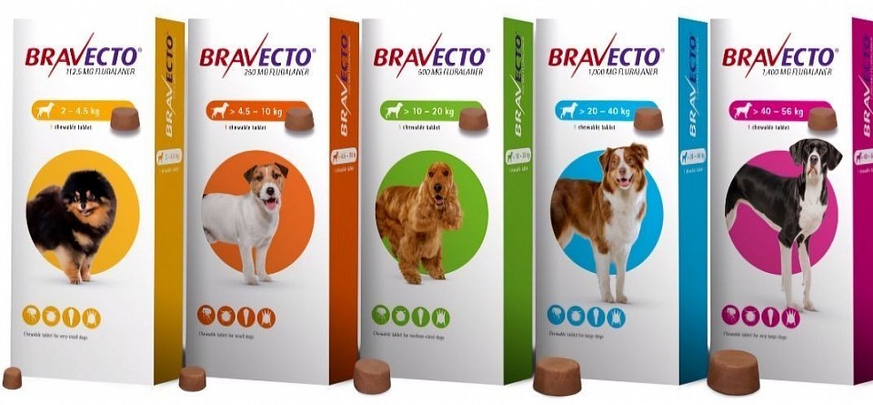 BRAVECTO Chews, Extended-Duration